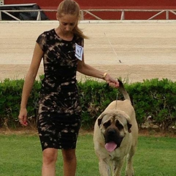 Meet your Posher, Astrid - Picture 1 of 1